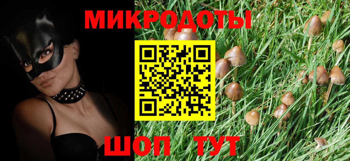 Псилоцибиновые грибы Psilocybine cubensis Бердск